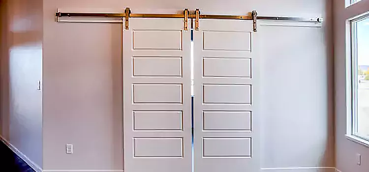 Glass Barn Door with Installation Hardware Kit West Little River