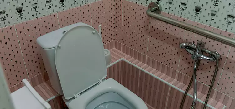 Meeting Diverse Needs With Accessible Restroom Solutions in West Little River, FL