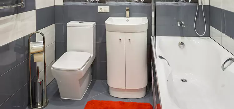 Hansgrohe Shaving Mirror West Little River